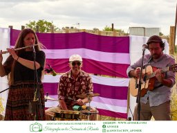 Festival Mar de Tethys 2026 - Bodega Vetas